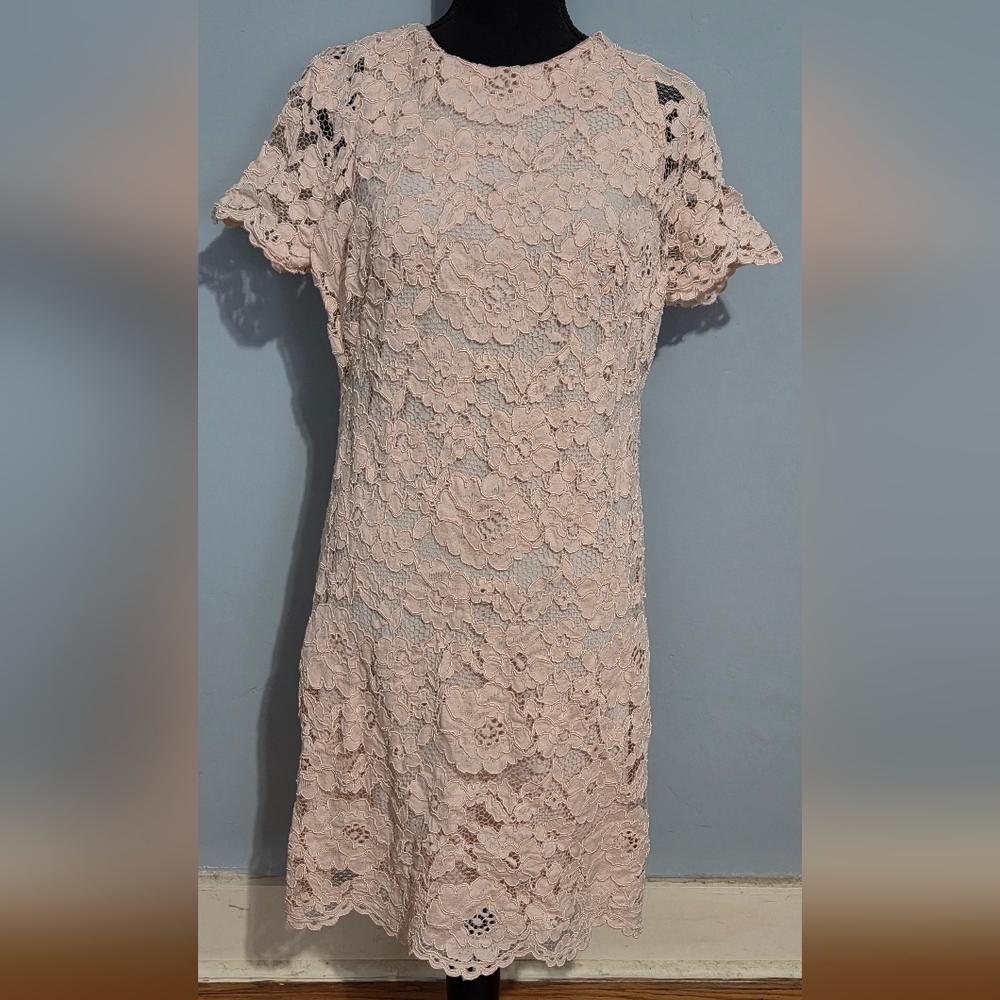 Lauren Ralph Lauren Floral Lace Mini Dress in Blush